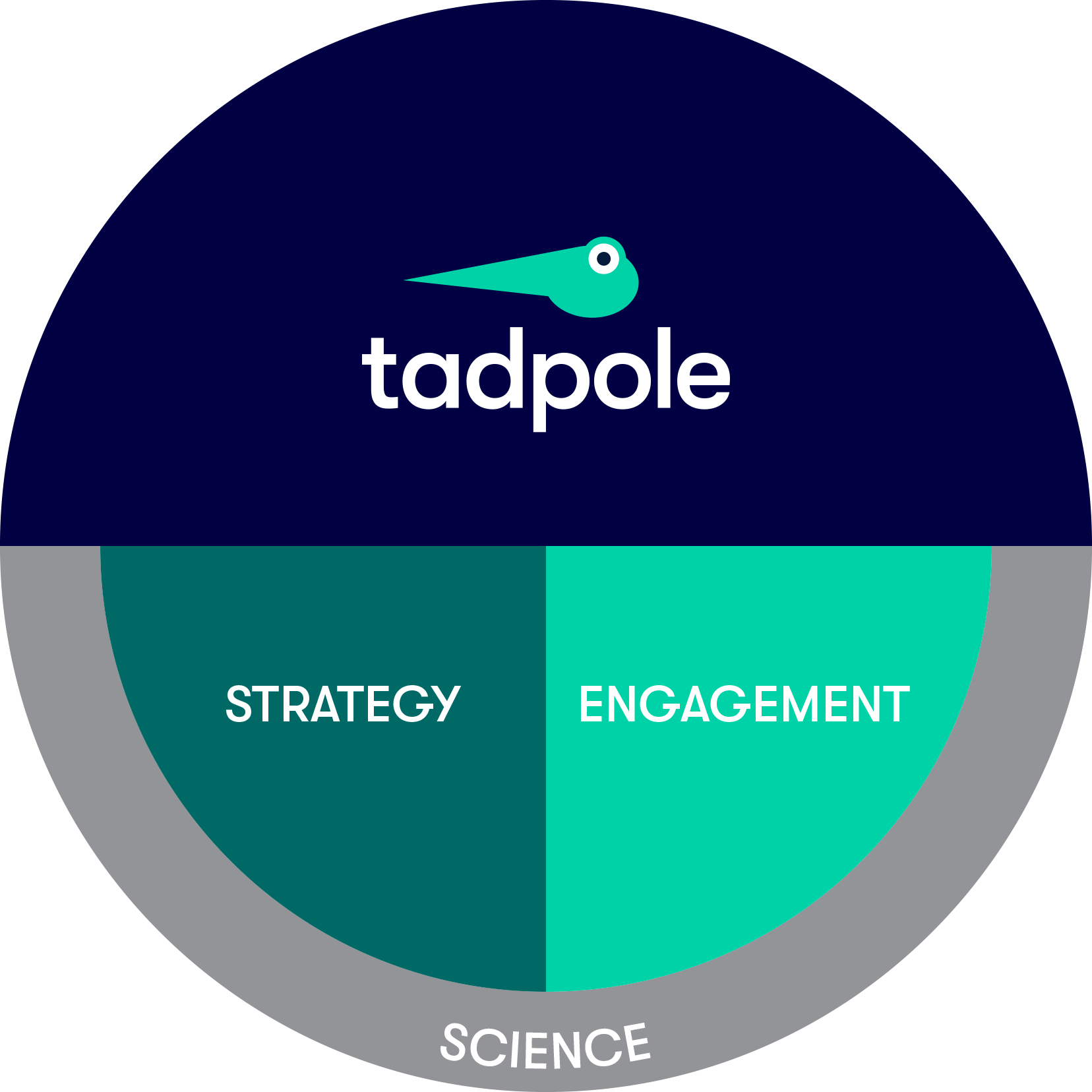 The Tadpole approach